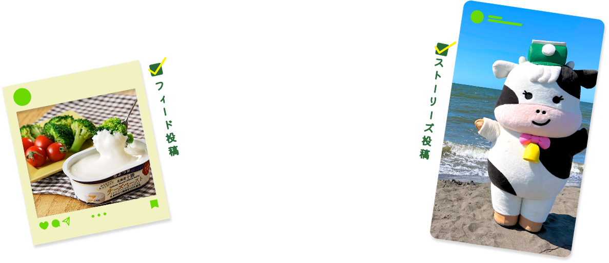 フィード投稿 / ストーリーズ投稿 どちらでもOK